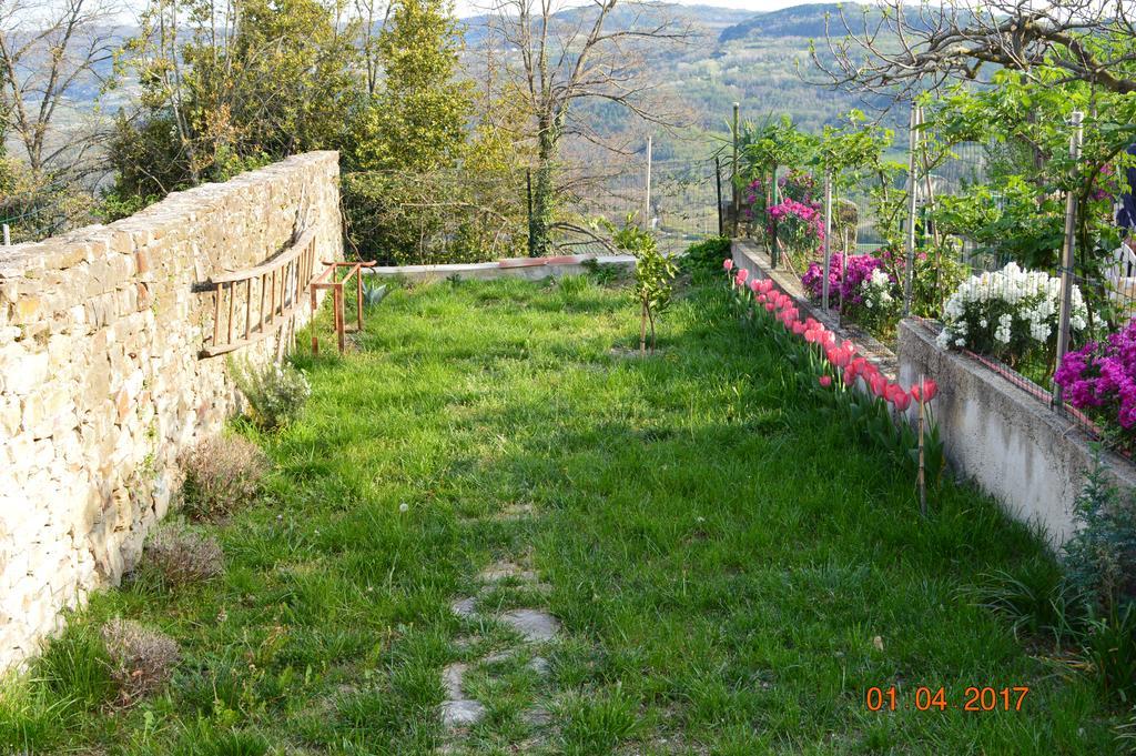 House Of Veli Joze Villa Motovun Eksteriør billede